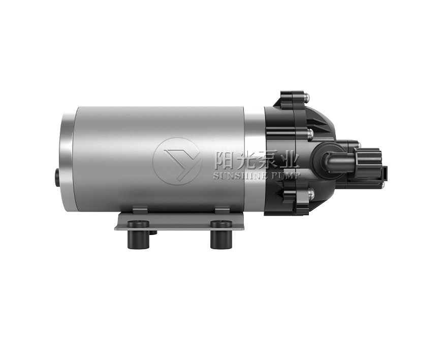 DP-4