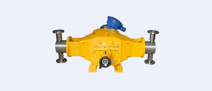 DZ-T2型柱塞式计量泵